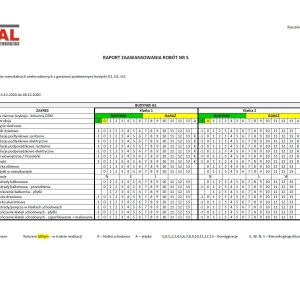 RAPORT G1